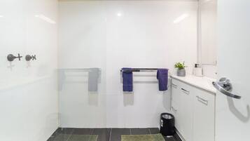 Shower, hair dryer, towels