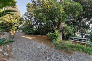 Un vialetto in pietra che si snoda attraverso un giardino con alberi diversi e una panchina in legno.