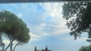 A window with a view of trees and a sea.