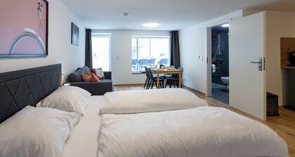 City apartment with terrace in Würzburg
