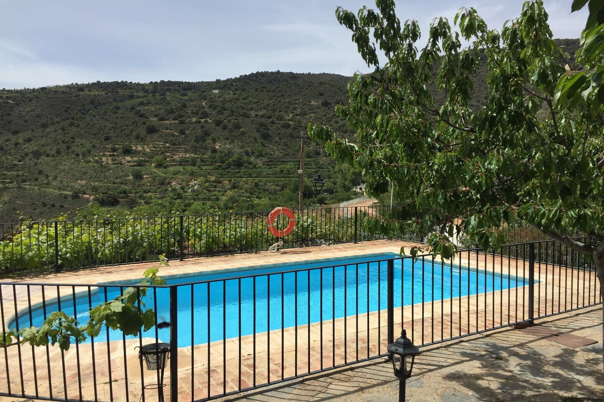 En swimmingpool med et sort metalhegn, omgivet af grøn vegetation og bakker i baggrunden.