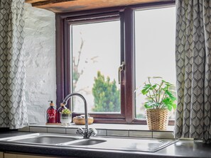 Une cuisine avec une fenêtre, un évier et une plante en pot.