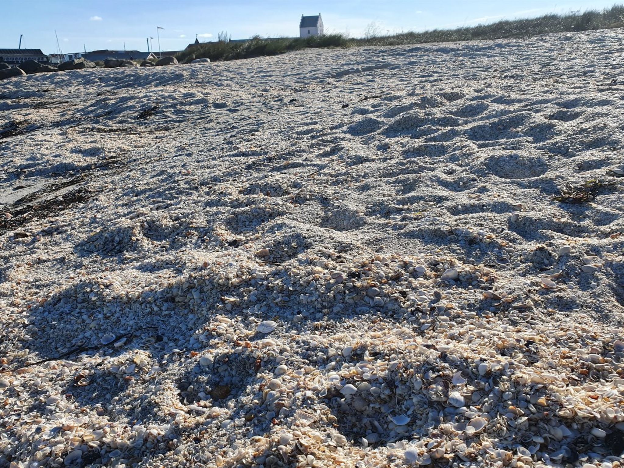 A beach with pebbles and shells, a distant building, and a clear sky.