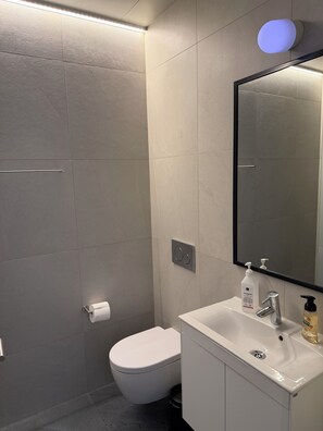 Habitación familiar, baño privado | Baño