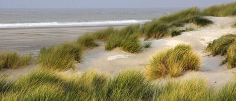 Ranta