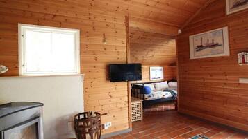 Smart TV, fireplace, DVD player, books