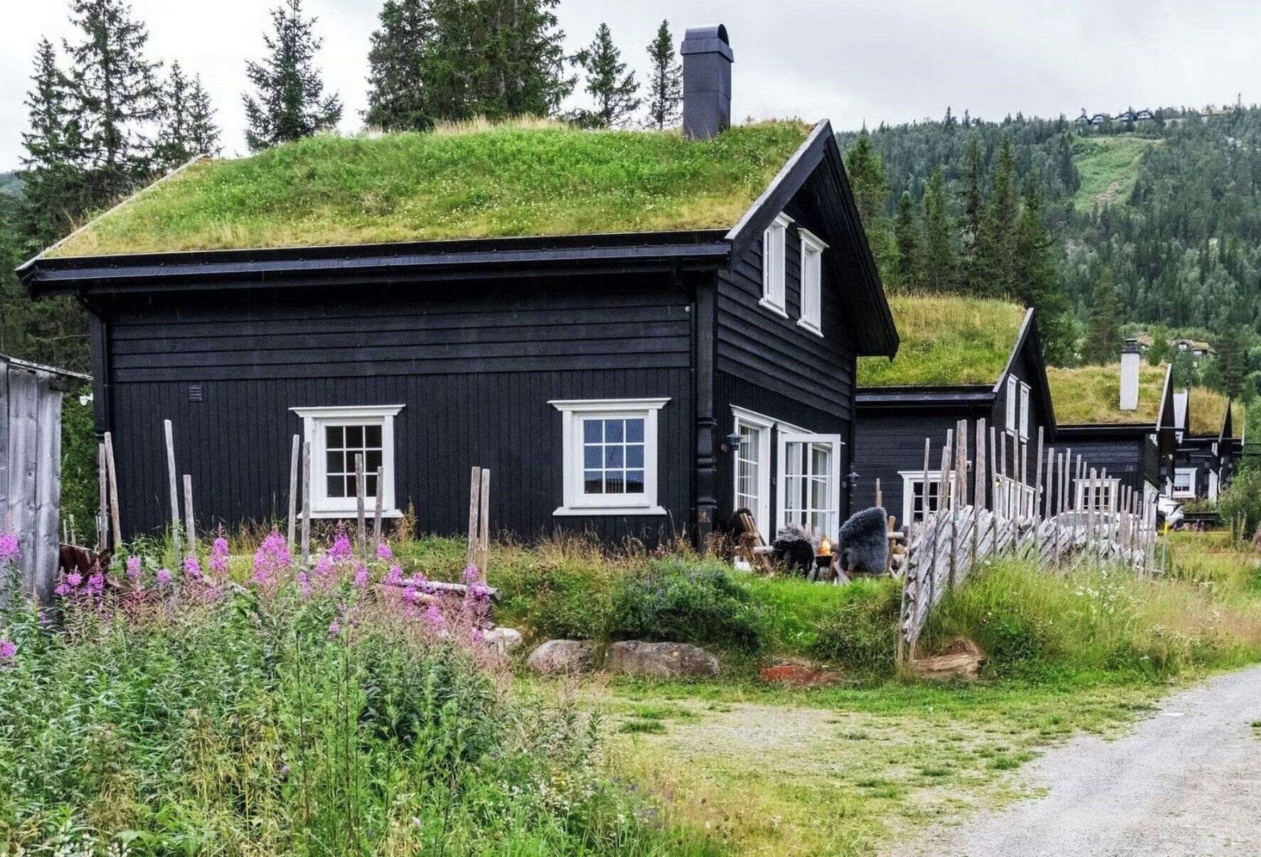 Eksteriør