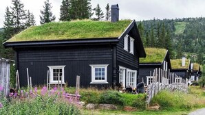 A row of black wooden houses with grass roofs and white windows, surrounded by greenery and a gravel path. - Cabin in Uvdal with ski trails on the doorstep (UVDAL)