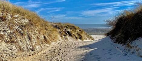 Am Strand