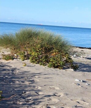Am Strand