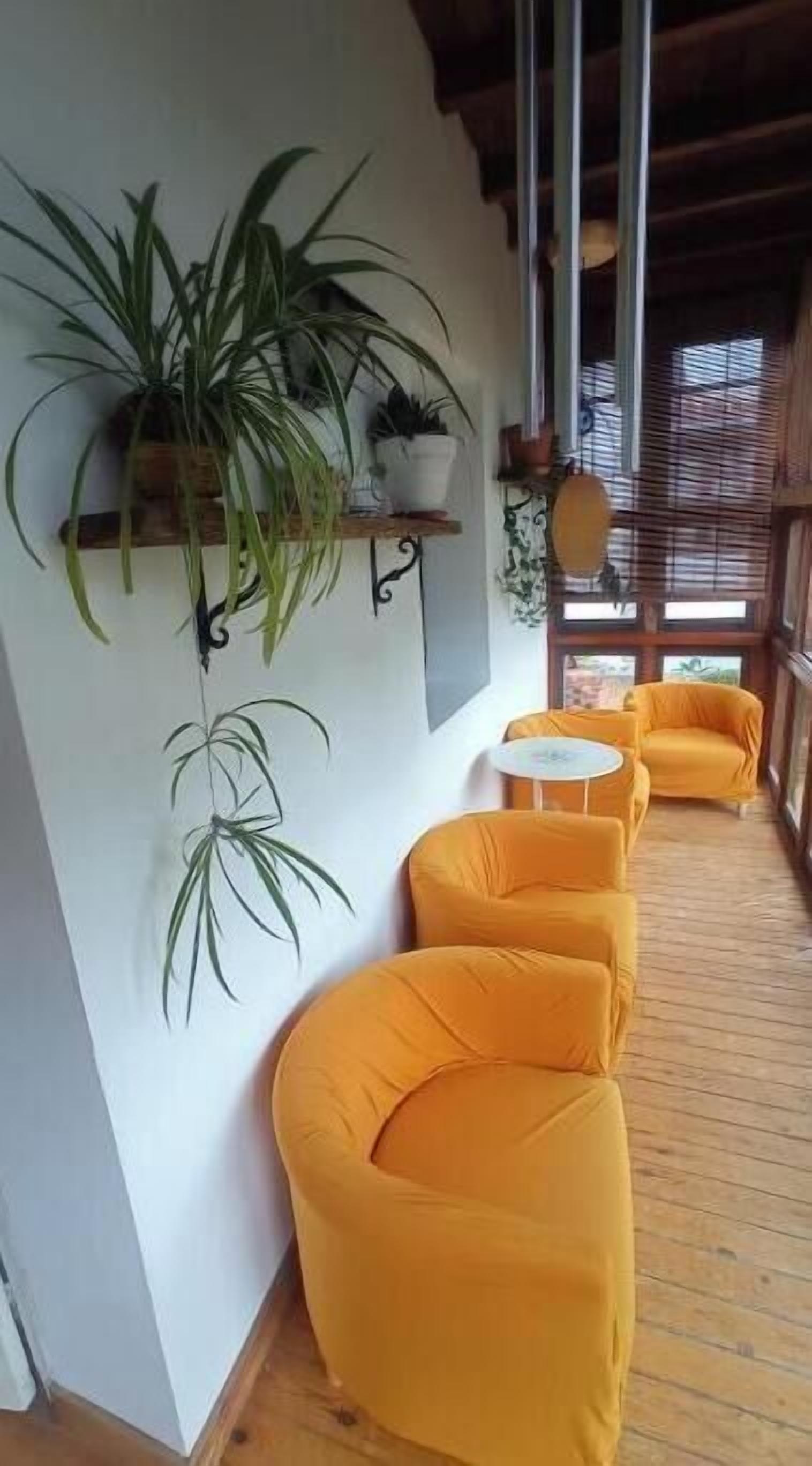 Una habitación con piso de madera, un sofá, una mesita y una planta colgante.