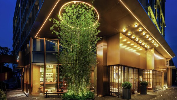 Una entrada de hotel moderna con una planta de interior grande, fachada bien iluminada y una vista despejada del área de bar.