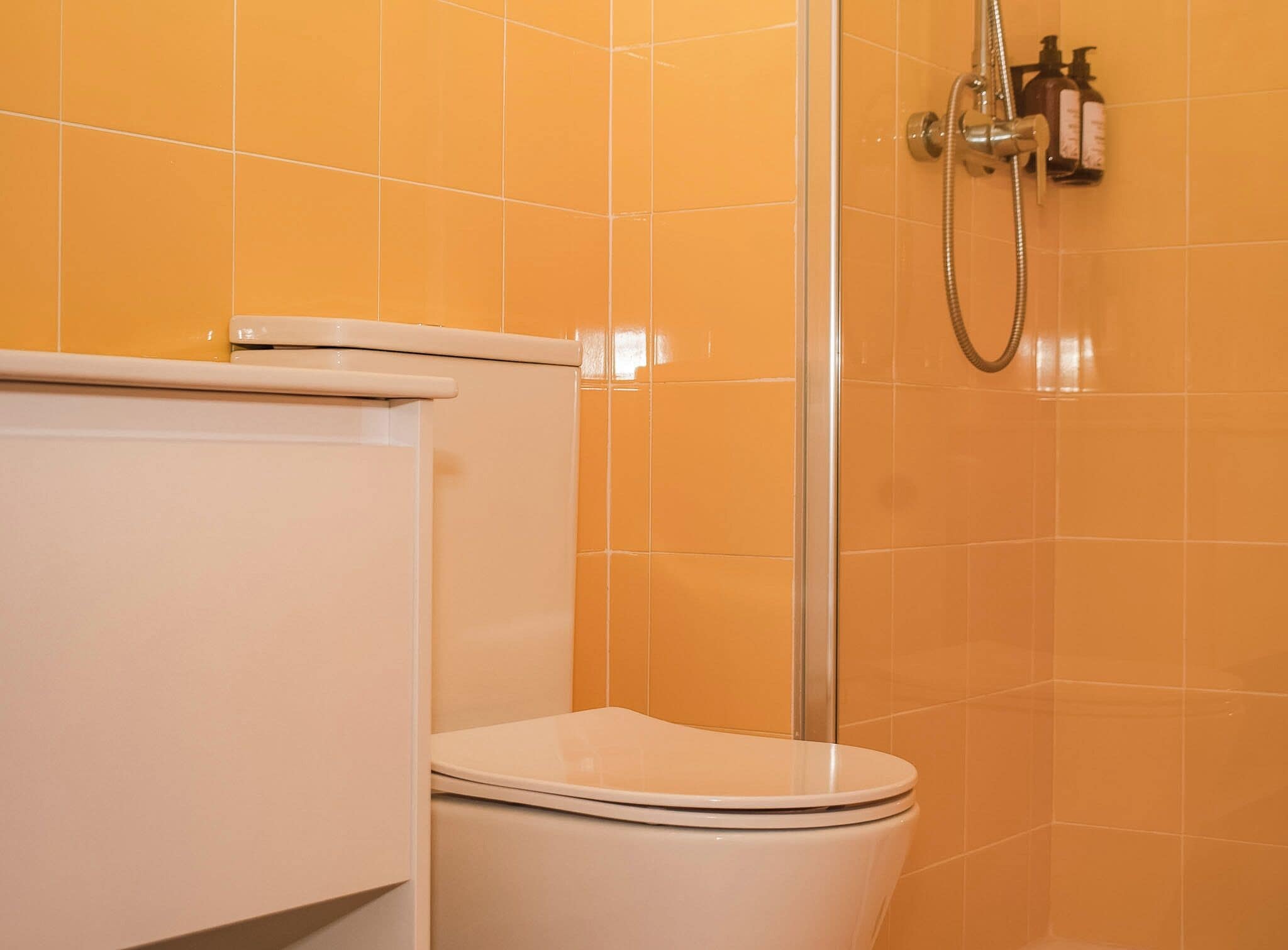 Towels, soap, shampoo, toilet paper