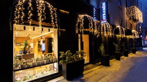 Un hotel con ventanas amplias, plantas en macetas y luces decorativas.