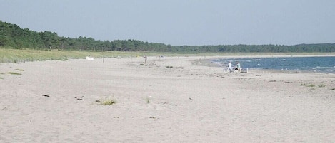 On the beach