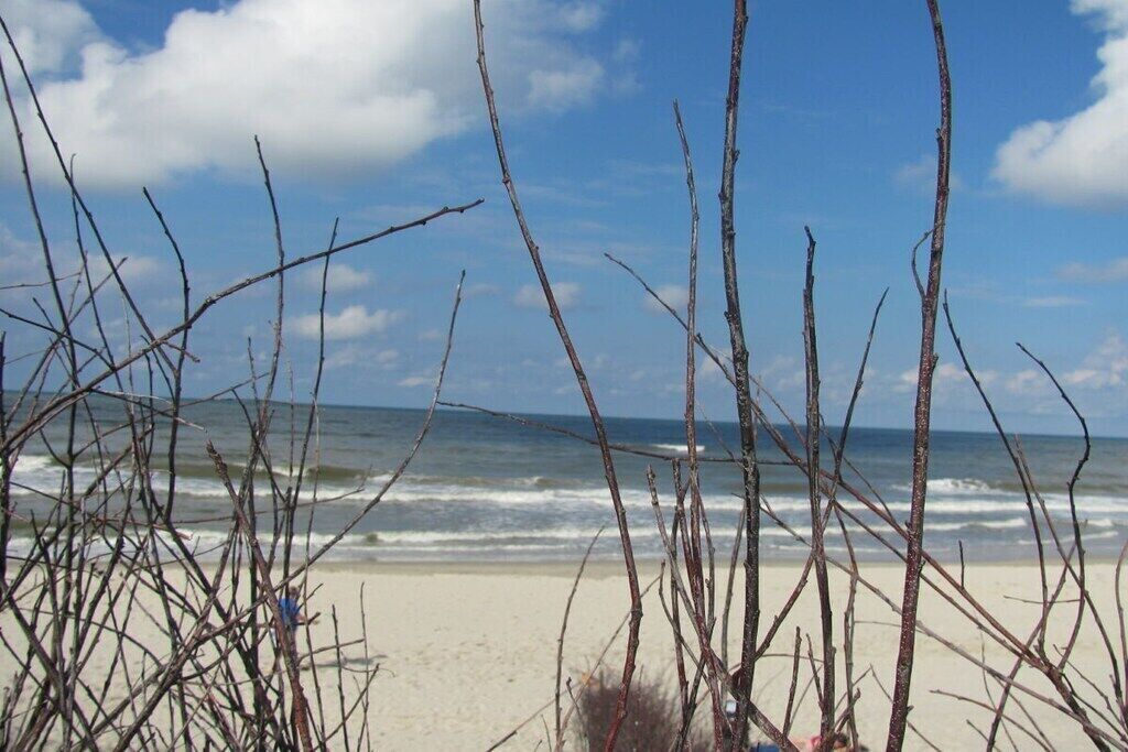 On the beach