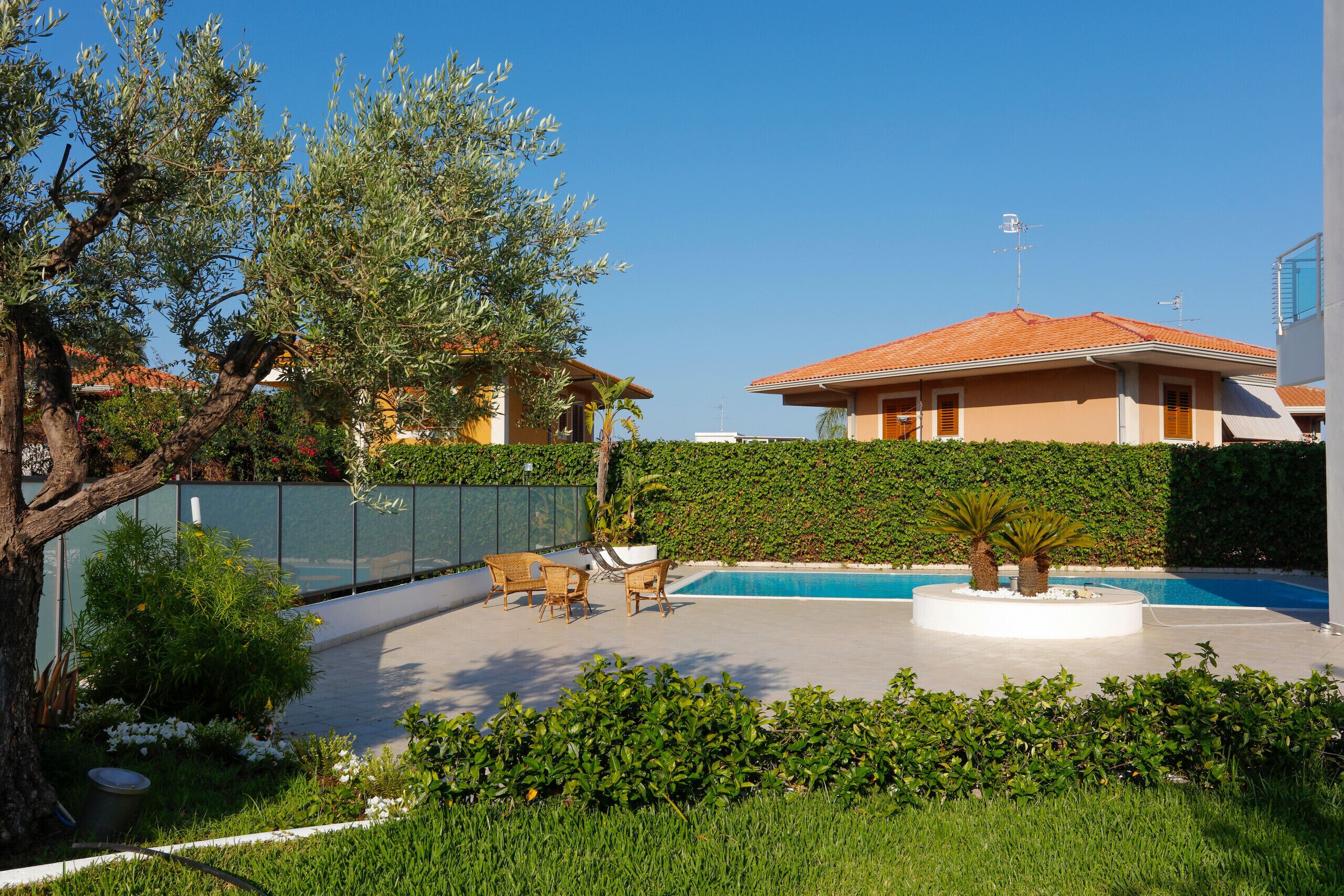 A swimming pool with lounge chairs, a palm tree, and a building with a red roof.