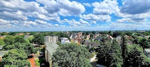Miscelánea