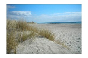 Beach - Shell, in the most beautiful alley in Burg (Burg auf Fehmarn)