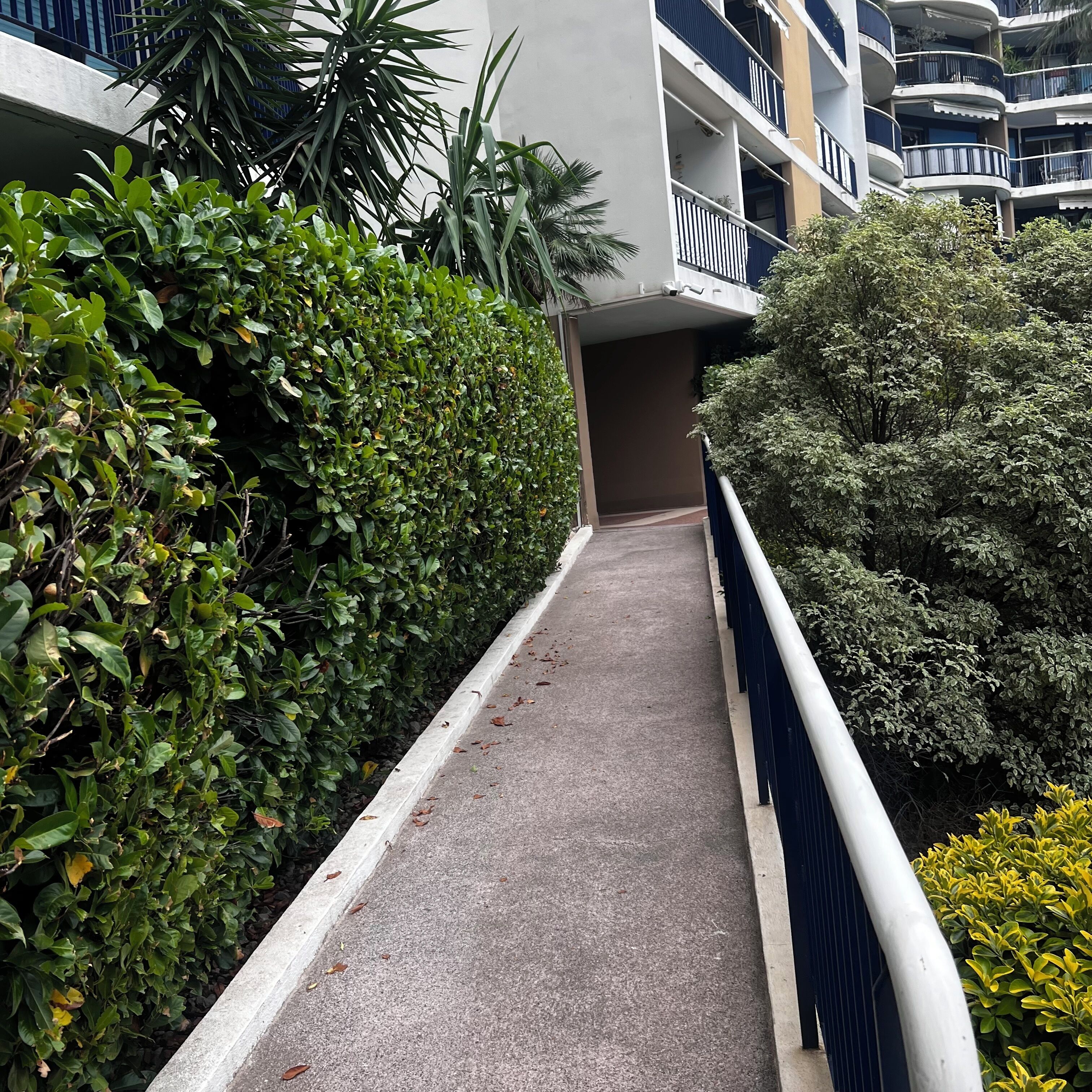 A narrow pathway flanked by dense greenery, leading to a modern multi-story building with balconies.