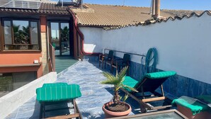 A rooftop terrace with a pool, lounge chairs, and a potted plant.