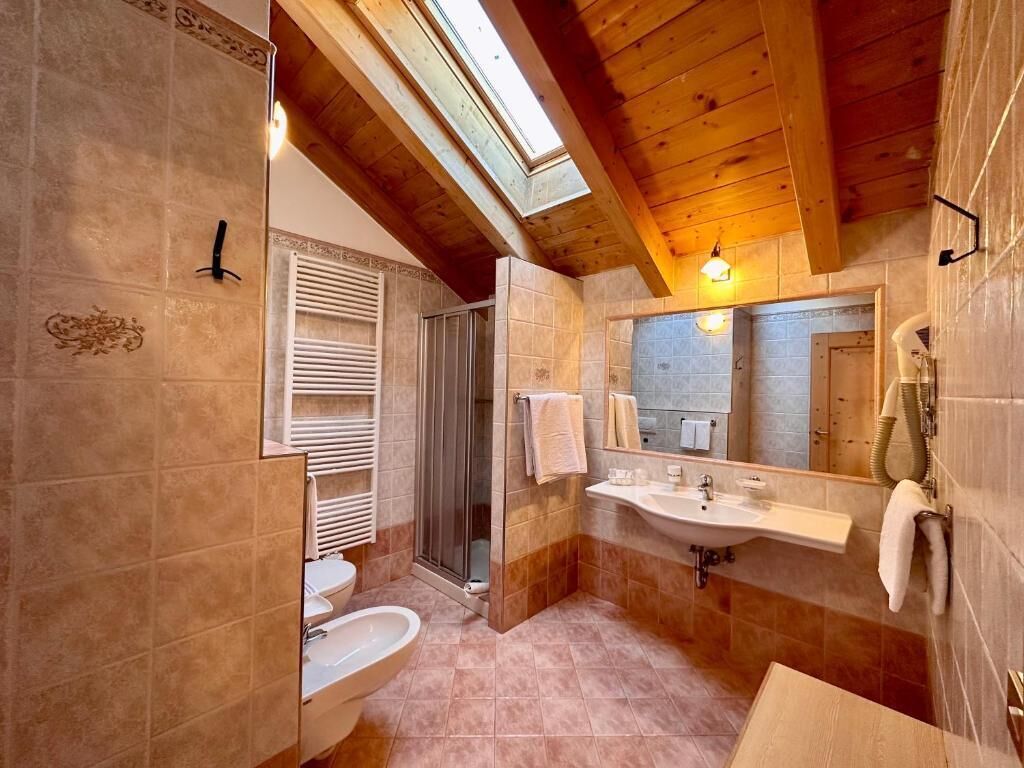 A bathroom with a skylight, a shower, a sink, and a toilet.