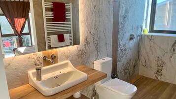 Shower, hair dryer, towels