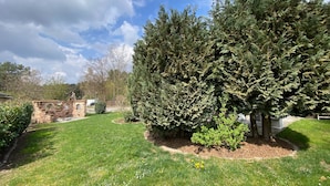 A well-maintained garden with a variety of trees and shrubs, a brick structure, and a clear sky.