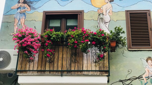 A building with a mural, a wooden balcony with pink flowers, and a window with brown shutters.