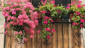 A window with a brown frame, a bamboo fence, and pink flowers in front.