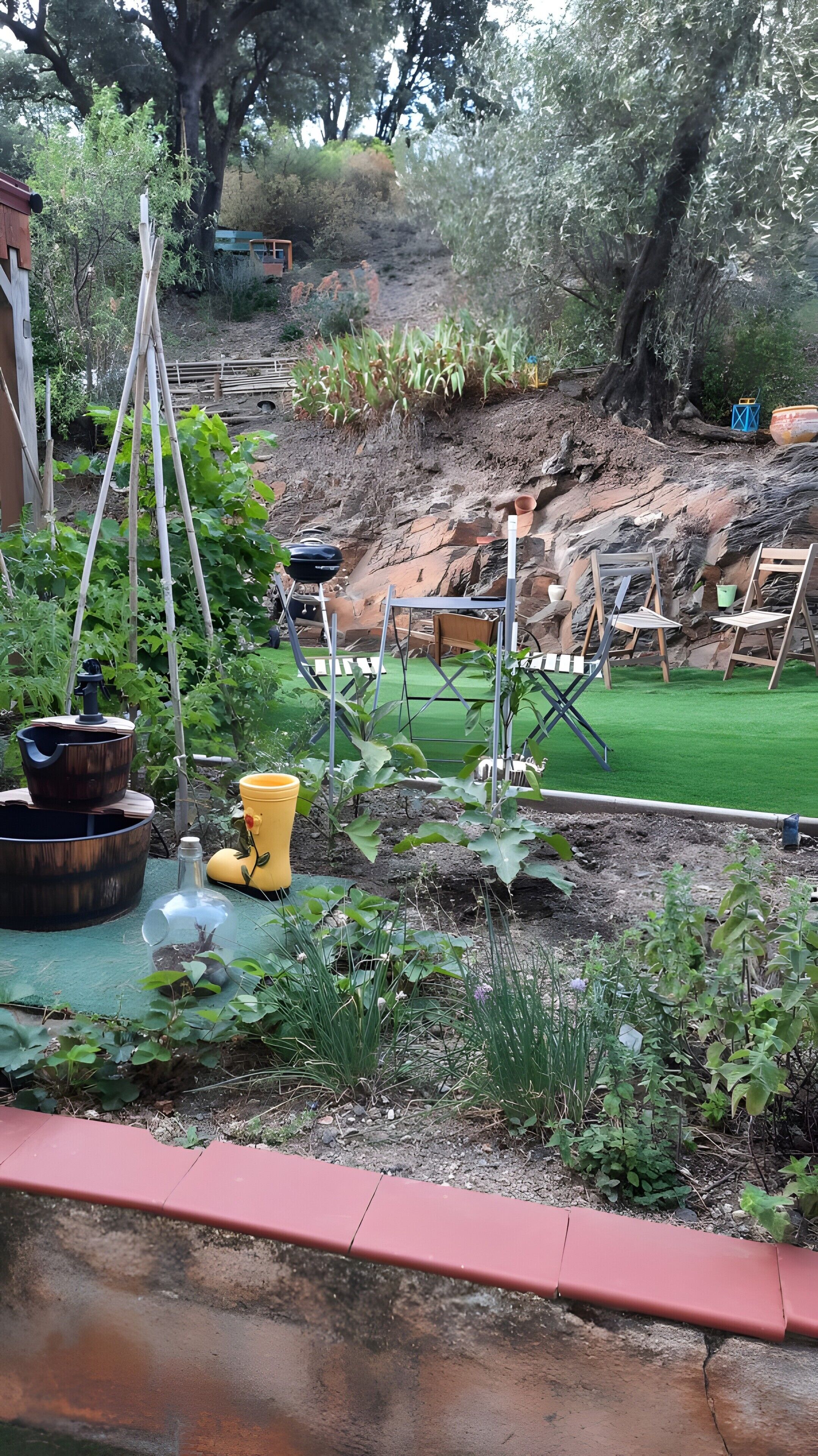 A garden with various plants, a wooden structure, and a small water feature.