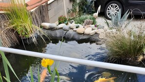 Un étang peuplé de carpes koï, entouré de plantes et de rochers.