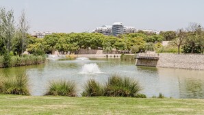 A park with a pond, a bridge, and buildings in the background. - Comfort and Design Facing the Turia Gardens in Valencia (Valencia)