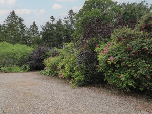 A gravel path leading through a garden with dense shrubbery and trees. - Keepers Cottage (Peterhead)