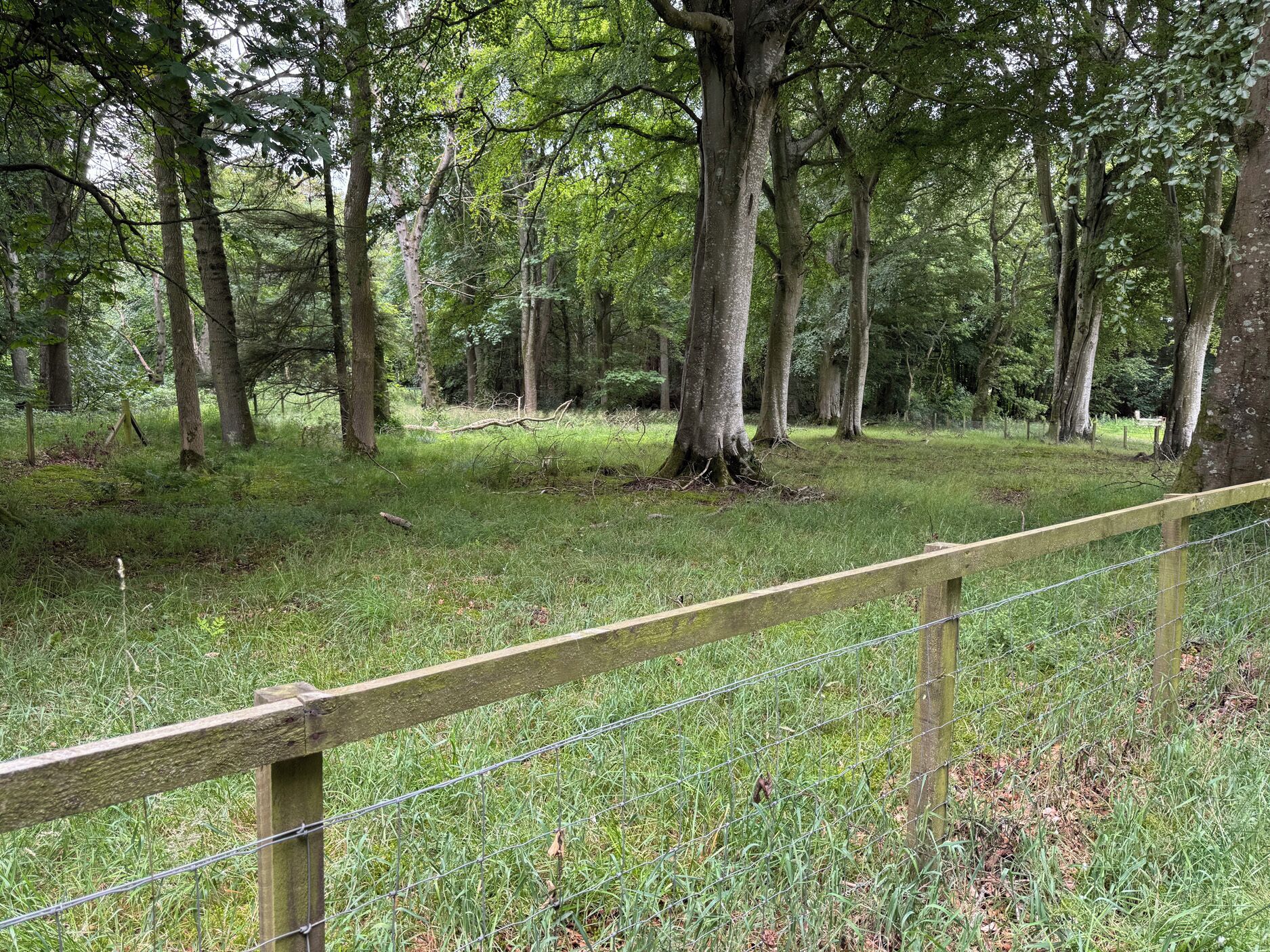 Cottage | Property grounds