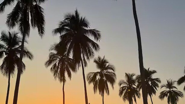 A sunset view with palm trees and a reflective pool. - Beachfront House with Private Pool, near Troncones (Gro.)
