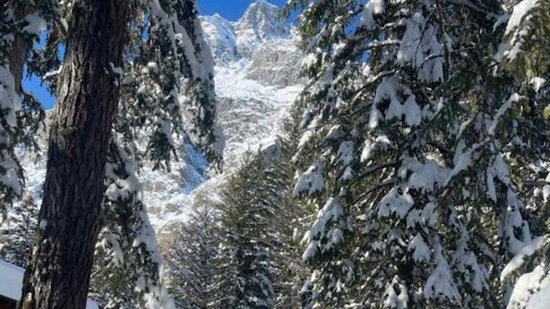 A snow-covered wooden cabin with a circular design, surrounded by snow-laden trees and a mountainous backdrop. - Wildhomes Wild Wolf Lodge: Nestled in the Peuterey Forest—Up to 6 Guests (Courmayeur)