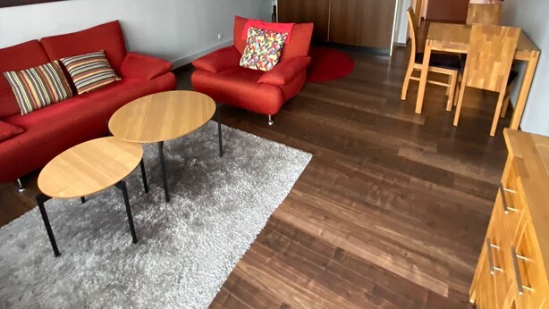 Un salon moderne avec un canapé rouge, deux petites tables en bois, un tapis gris et un ensemble de salle à manger en bois.