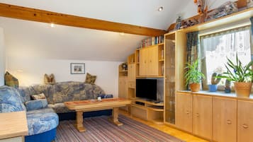 Fernseher