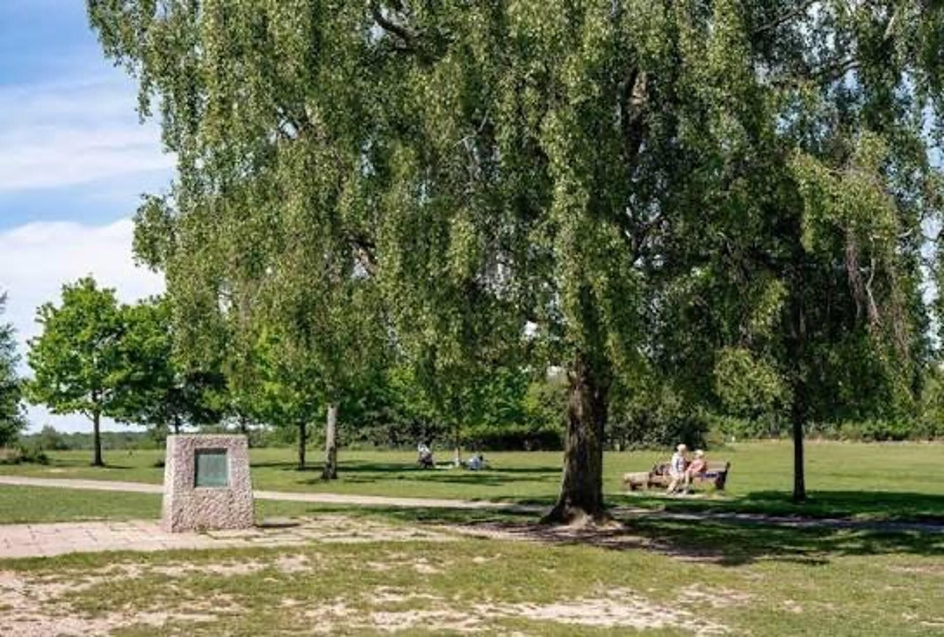 A park with a large tree, a stone bench, and a clear sky.