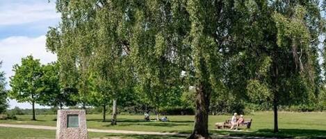 A park with a large tree, a stone bench, and a clear sky.