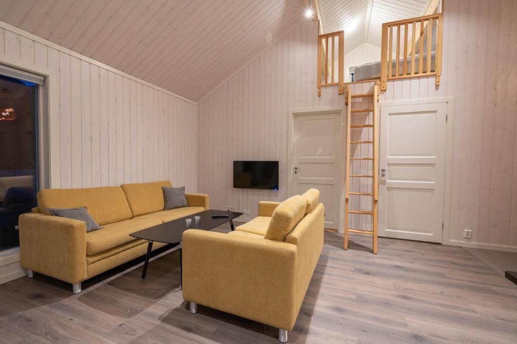 A room with two sofas, a TV, a wooden ladder, and a door.