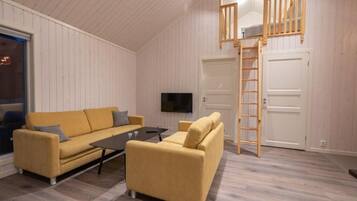 A room with two sofas, a TV, a wooden ladder, and a door.
