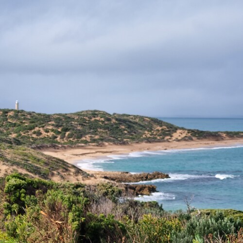 Arvor Cottage 
Quaint cottage walking distance to the beach and cafes 
