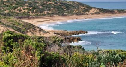Arvor Cottage
Quaint cottage walking distance to the beach and cafes