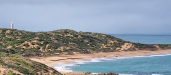 Arvor Cottage
Quaint cottage walking distance to the beach and cafes