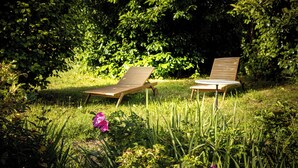 Deux fauteuils de jardin en bois, placés dans un jardin où le feuillage est dense et forme un décor en arrière-plan.