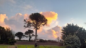 Un paysage rural caractérisé par un arbre imposant, des murs de pierre et un champ.