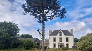 Une grande maison à deux étages, avec un arbre imposant devant, entourée d’un champ herbeux et d’autres arbres.