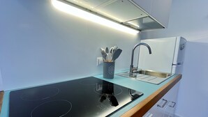 Une cuisine moderne dotée d’une plaque de cuisson à induction noire, d’un évier en acier inoxydable et d’un réfrigérateur encastré.